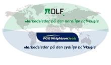 DLF en acquisition de PGG Wrightson Seeds